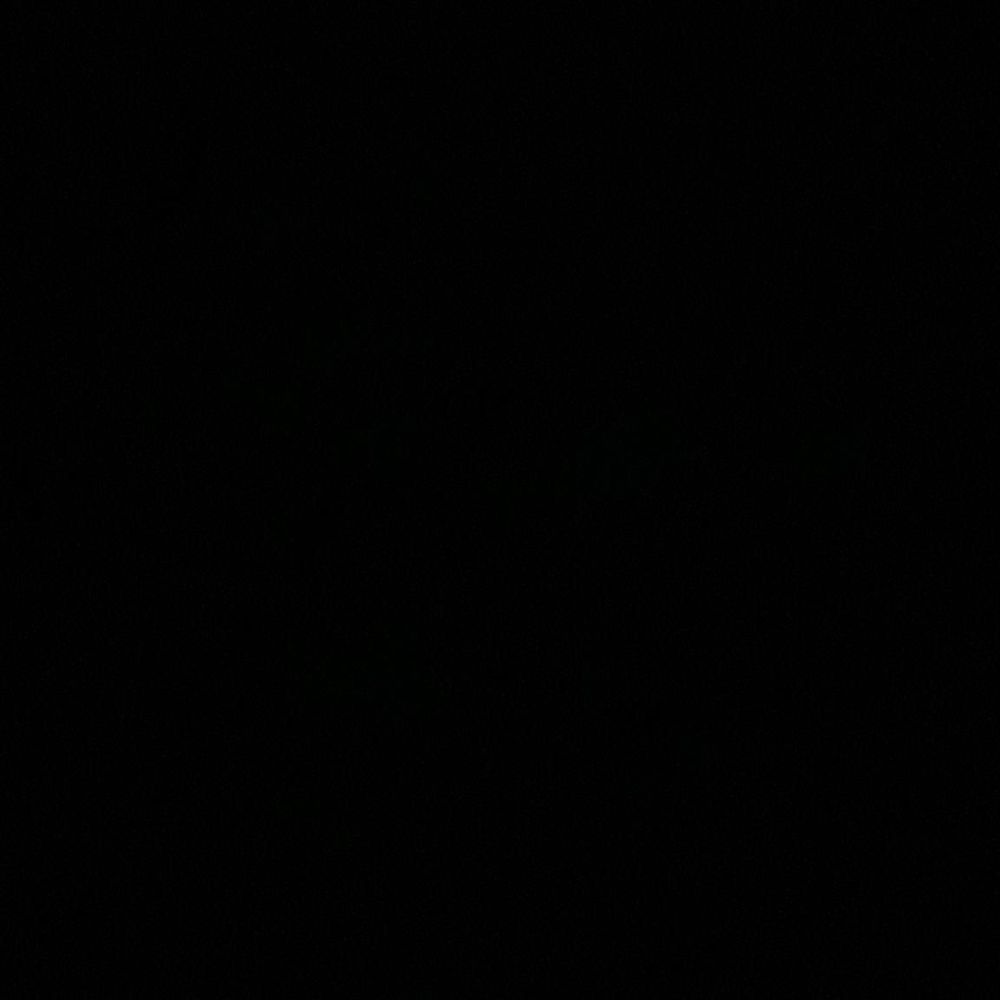 Meet your Posher, Susie